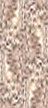 xm009131.gif