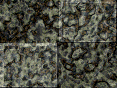 xm009124.gif