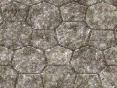 xm009117.gif