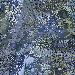 xm009043.gif