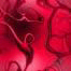 xm008974.gif