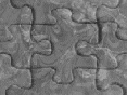 xm008955.gif