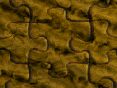 xm008952.gif