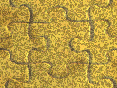 xm008951.gif