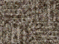 xm008925.gif
