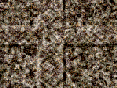 xm008924.gif