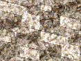 xm008923.gif