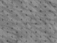 xm008921.gif