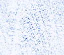 xm008905.gif