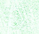 xm008903.gif