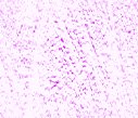 xm008902.gif