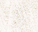 xm008900.gif
