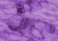 xm008897.gif