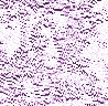 xm008892.gif