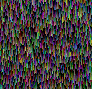 xm008885.gif