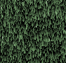 xm008880.gif