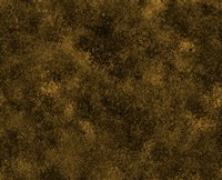 xm008865.gif
