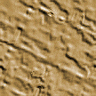 xm008848.gif