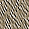 xm008833.gif