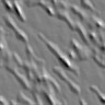 xm008824.gif