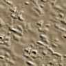 xm008820.gif