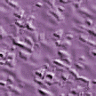 xm008818.gif