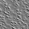 xm008817.gif