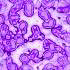 xm008799.gif
