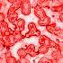 xm008798.gif