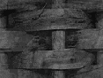 xm009377.gif