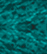 xm009327.gif