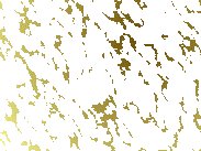 xm009325.gif