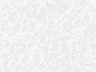 xm009322.gif