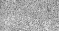 xm009313.gif