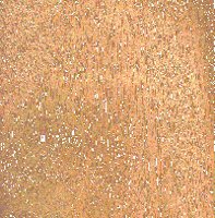 xm009312.gif