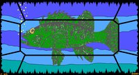 FISHING2.GIF