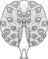 PEACOCK3.CMX