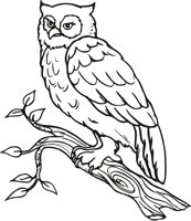 OWL4.CMX