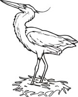 HERON.CMX