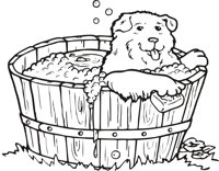 DOG_BATH.CMX