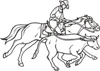 COWBOY4.CMX