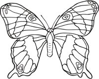 BUTTRFLY.CMX
