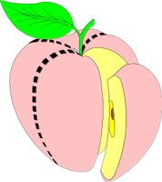 SCHDISTR.CMX
