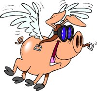 PIGFLYER.CMX