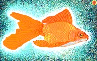GFISH.GIF