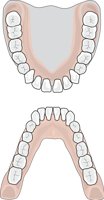 TETHVIVO.CMX
