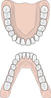 TEETHVIV.CMX