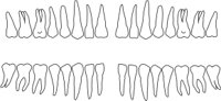 TEETH1.CMX
