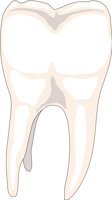 TEETH002.CMX