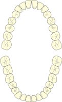 PERMDENT.CMX